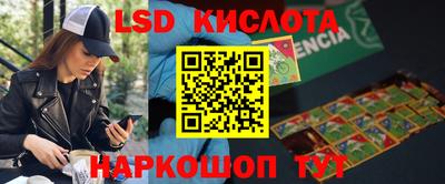гашик Новозыбков