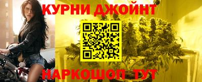 гашик Новозыбков