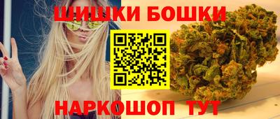 гашик Новозыбков
