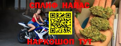 гашик Новозыбков