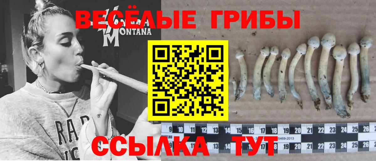 купить наркотики сайты  Вход с VPN  Серов  Галлюциногенные грибы прущие грибы 